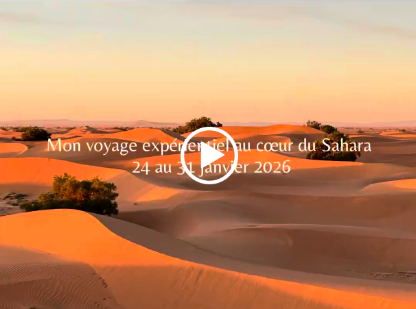 Vidéo voyage